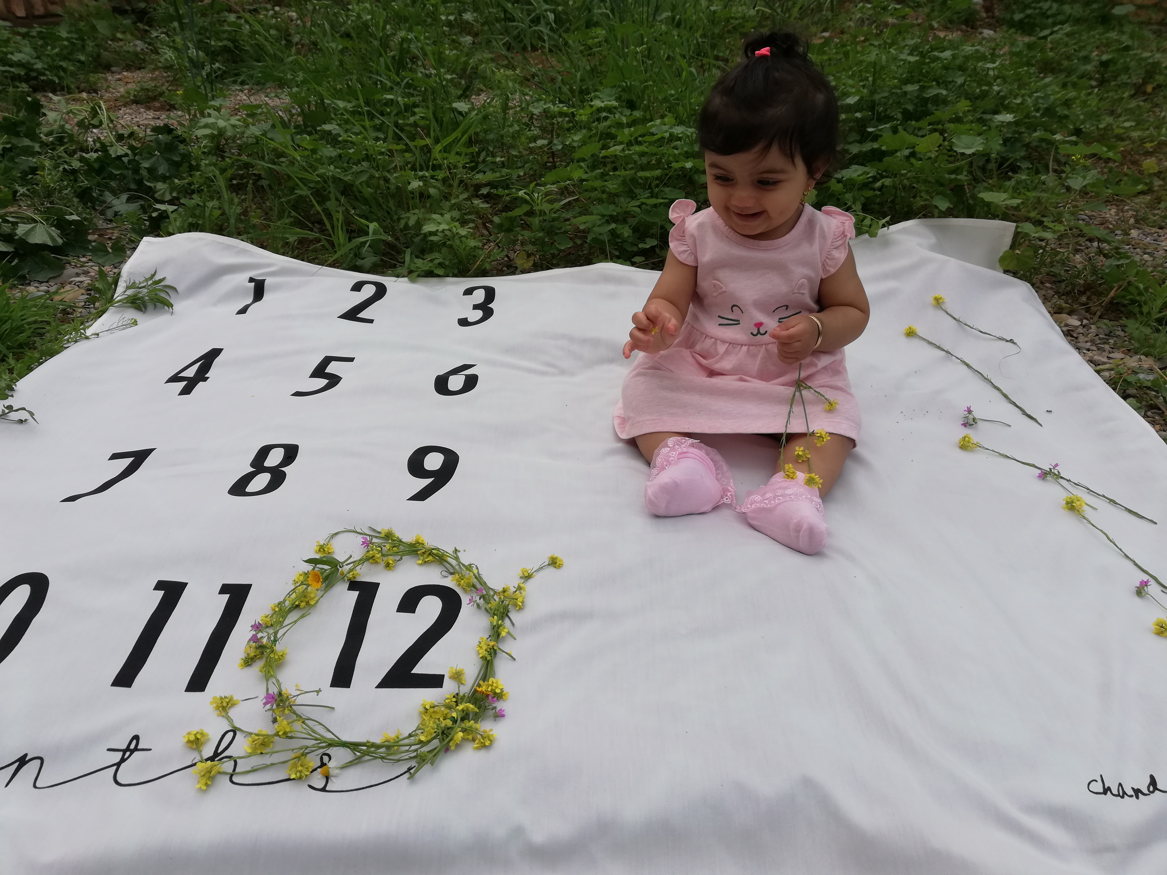 دوازده ماهگی نوزاد هستی بساک