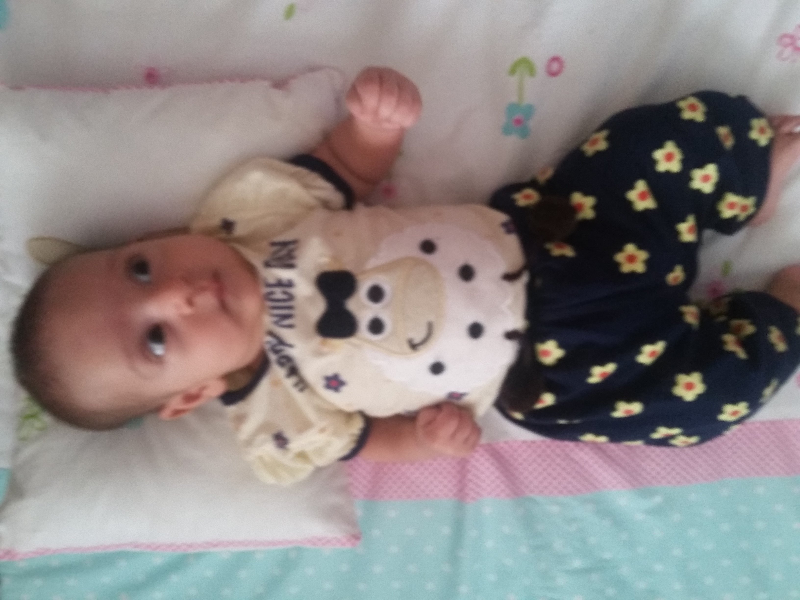 غلتیدن نوزاد آوین امیرفخریان