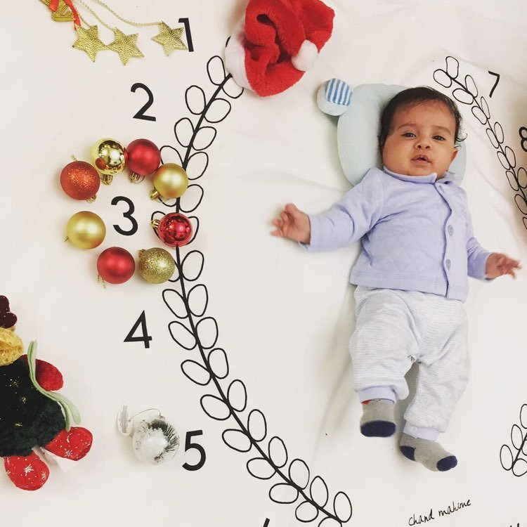 پارچه ماه شمار طرح شاخه زیتون هیراد پورعسگری