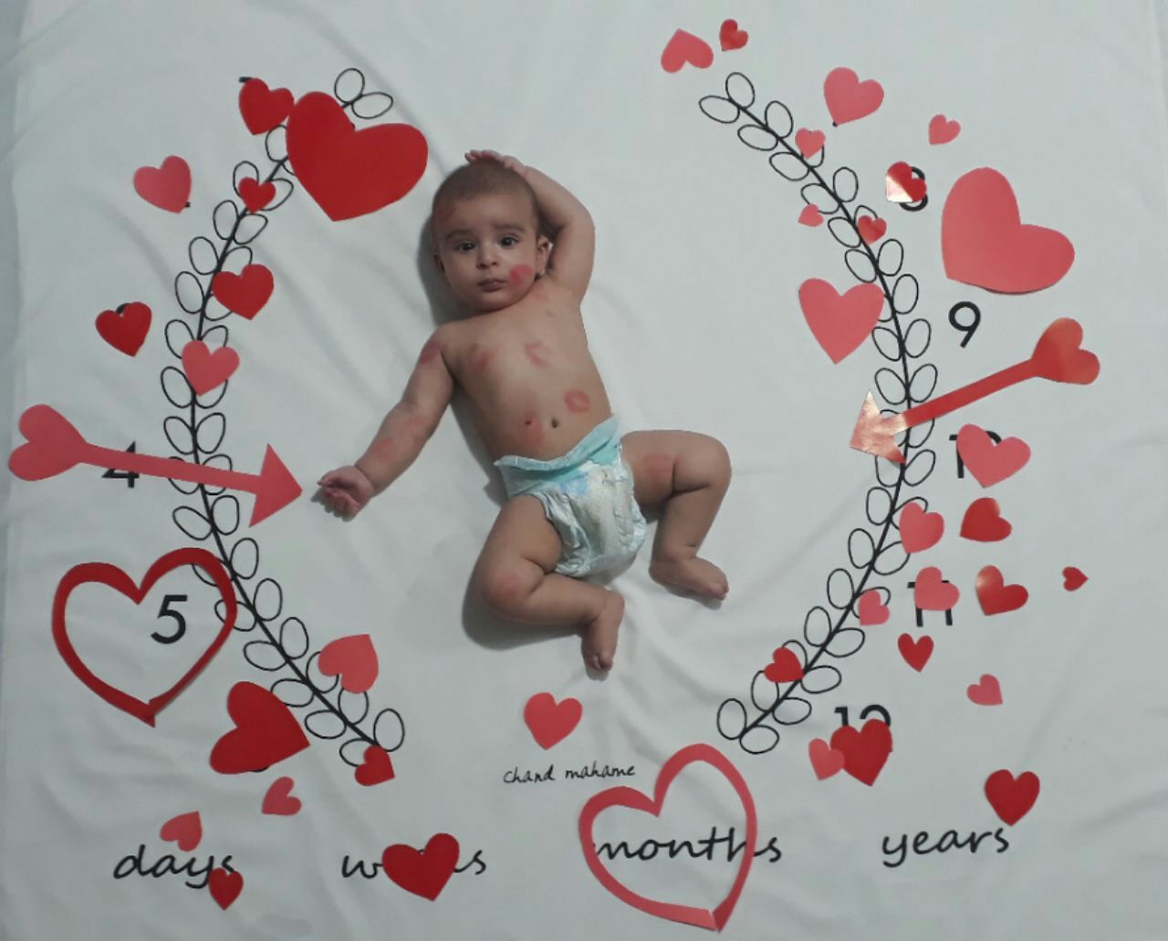 پارچه ماه شمار طرح شاخه زیتون هیراد پورعسگری