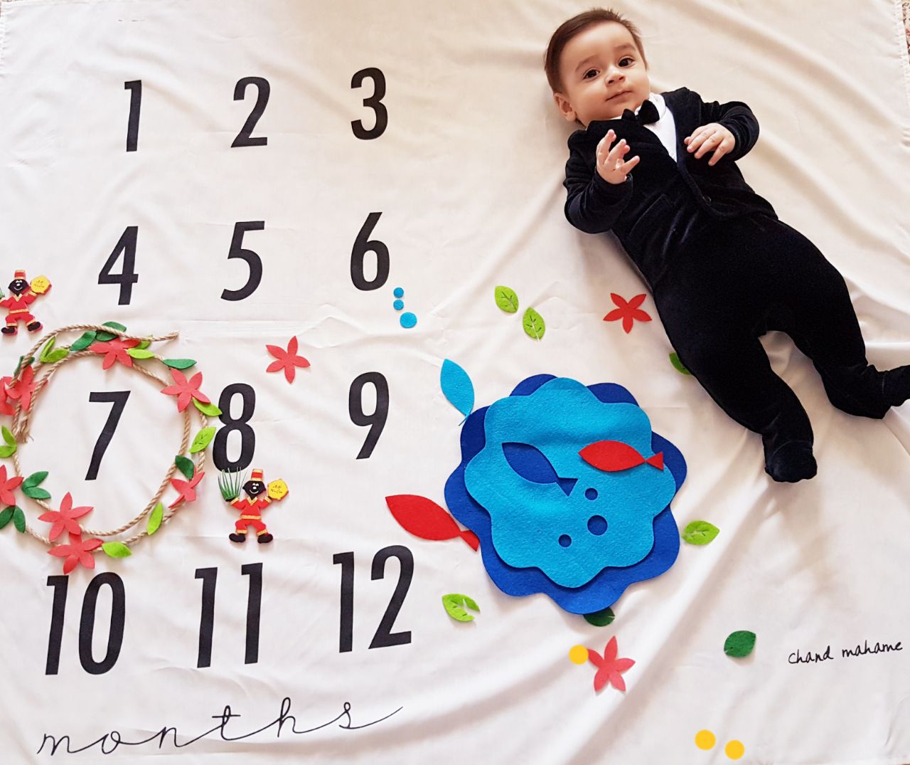 تم عکاسی بهاری هیراد پورعسگری