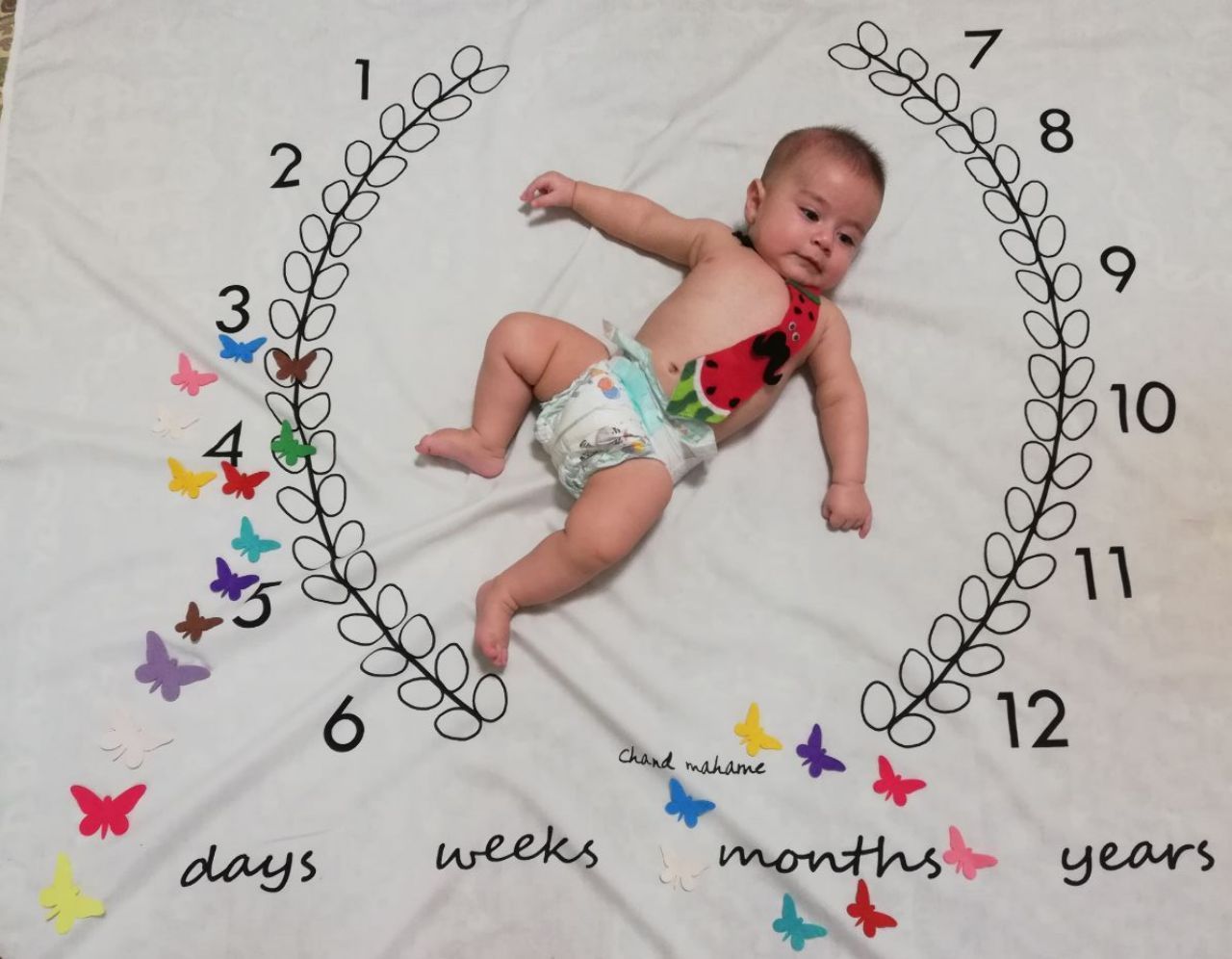 پارچه-های-عکاسی-275