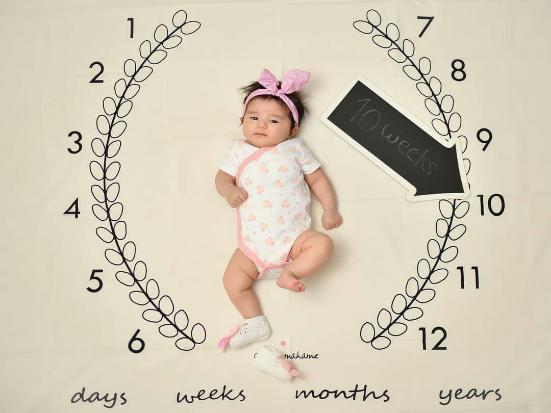 پارچه ماه شمار طرح شاخه زیتون هیراد پورعسگری