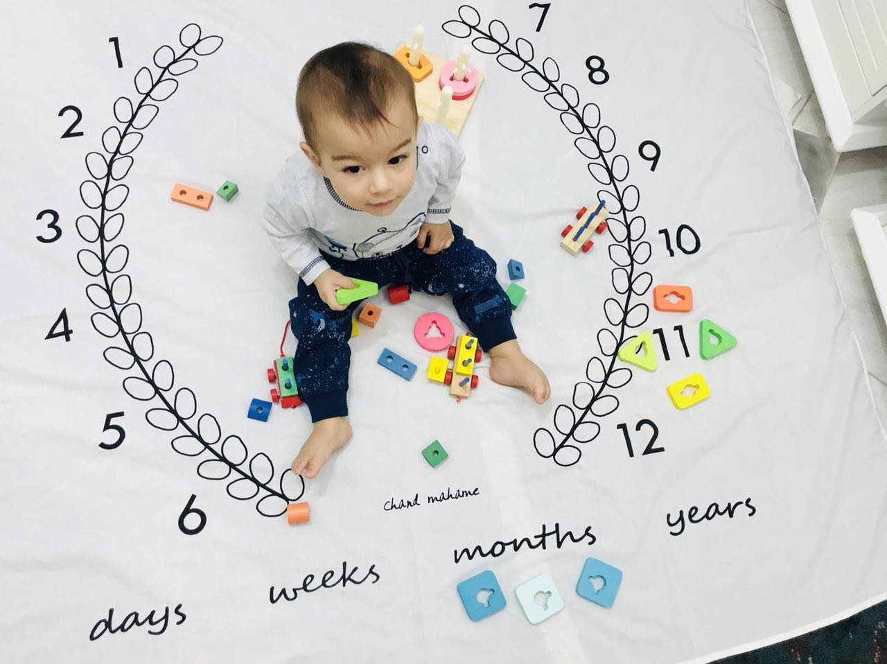 پارچه ماه شمار طرح شاخه زیتون هیراد پورعسگری