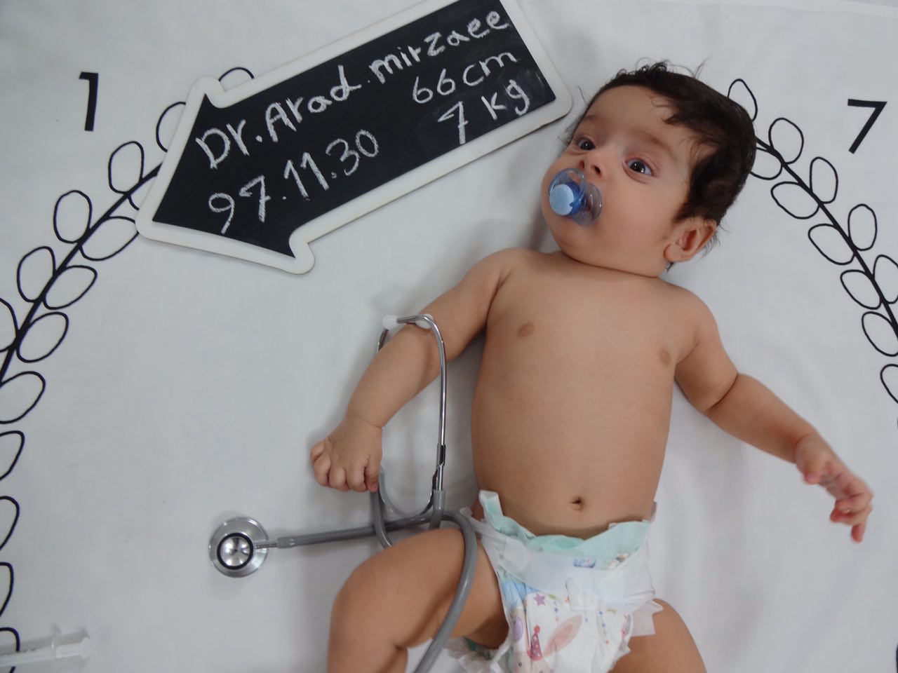 پارچه ماه شمار طرح شاخه زیتون هیراد پورعسگری