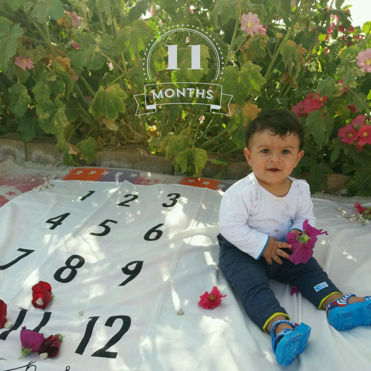 یازده ماهگی نوزاد هیراد پورعسگری