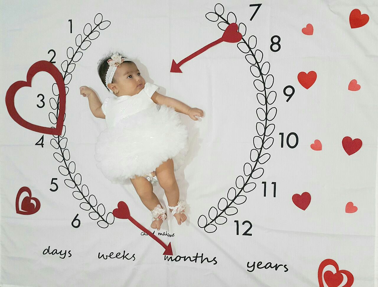 تم-های-عکاسی-511