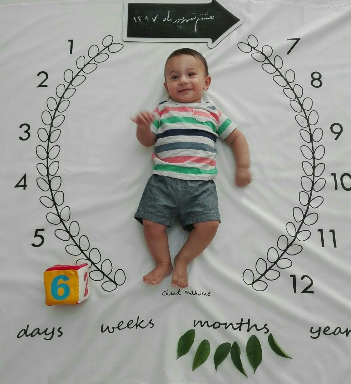 شش ماهگی نوزاد هیراد پورعسگری