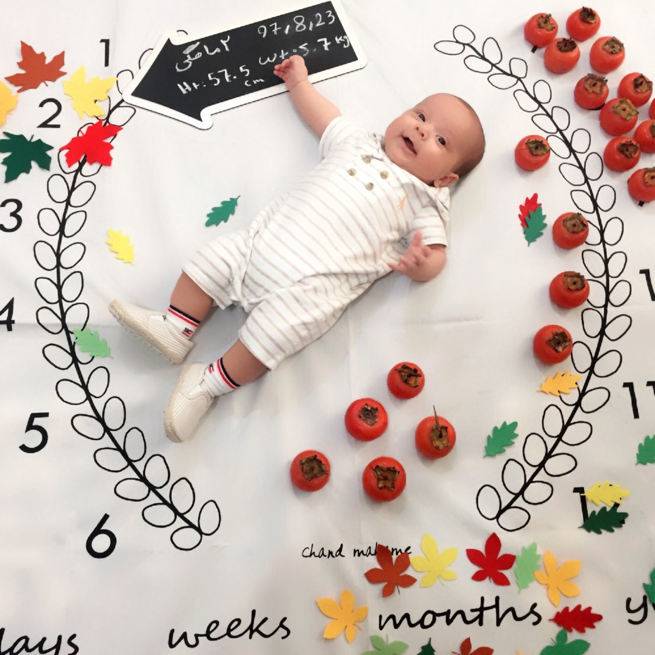 دو ماهگی نوزاد هیراد پورعسگری