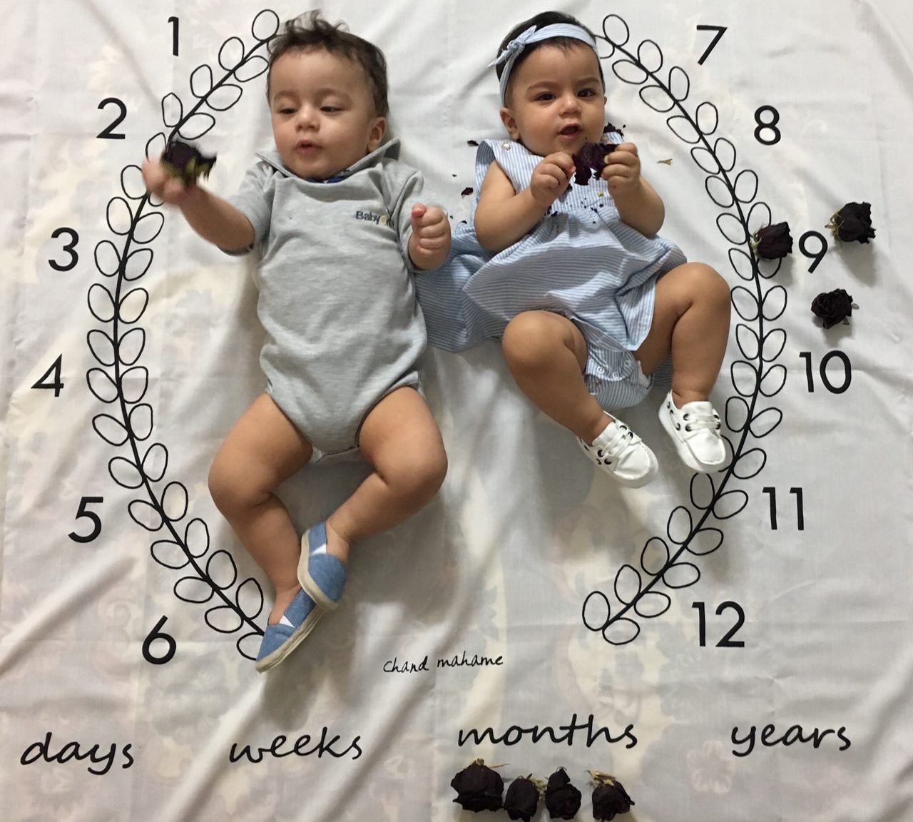 پارچه ماه شمار طرح شاخه زیتون هیراد پورعسگری