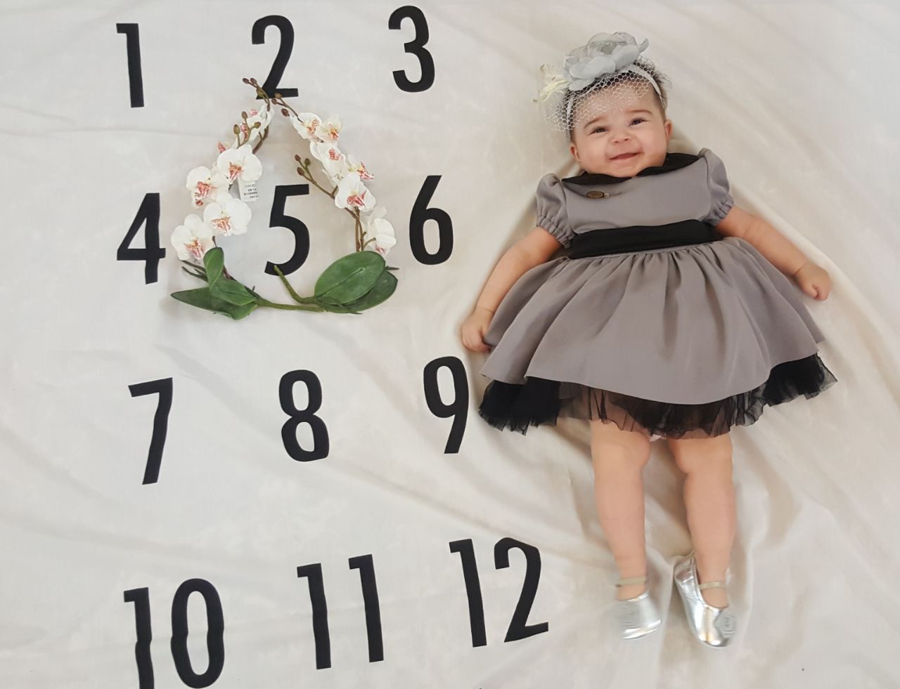 پارچه-های-عکاسی-664