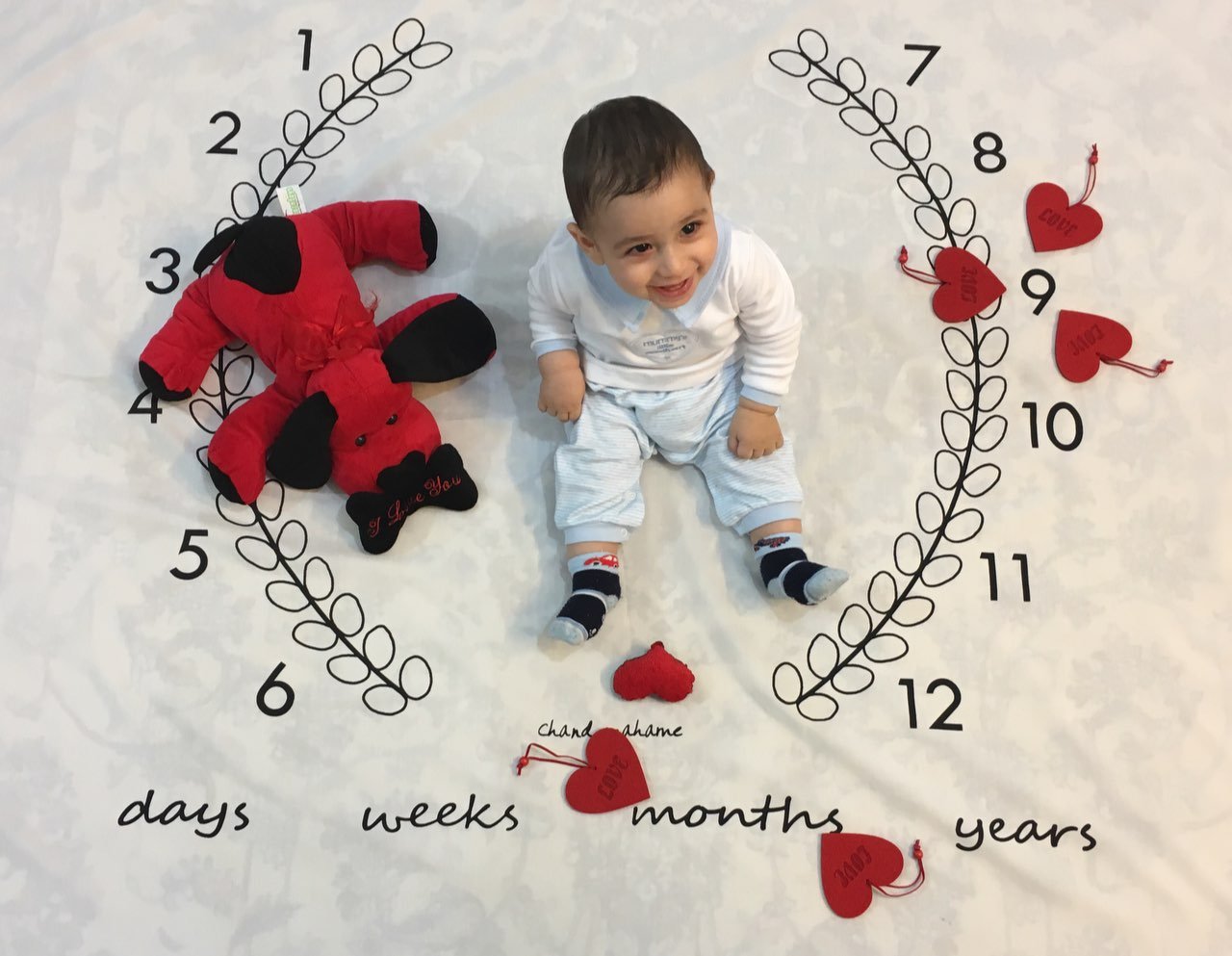 نه ماهگی نوزاد هیراد پورعسگری