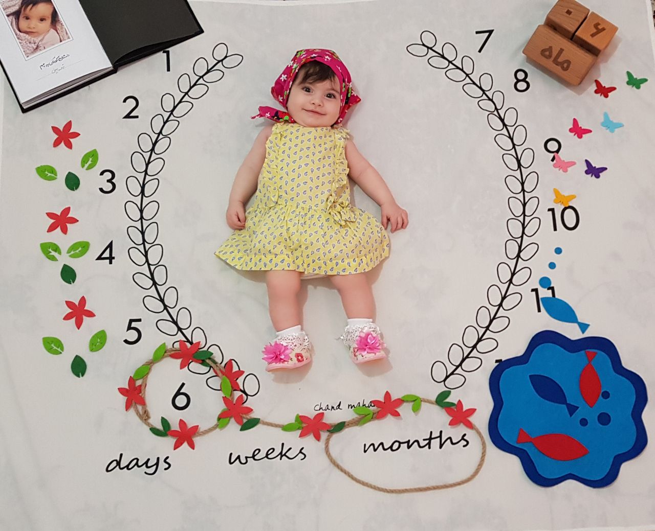 تم-های-عکاسی-711