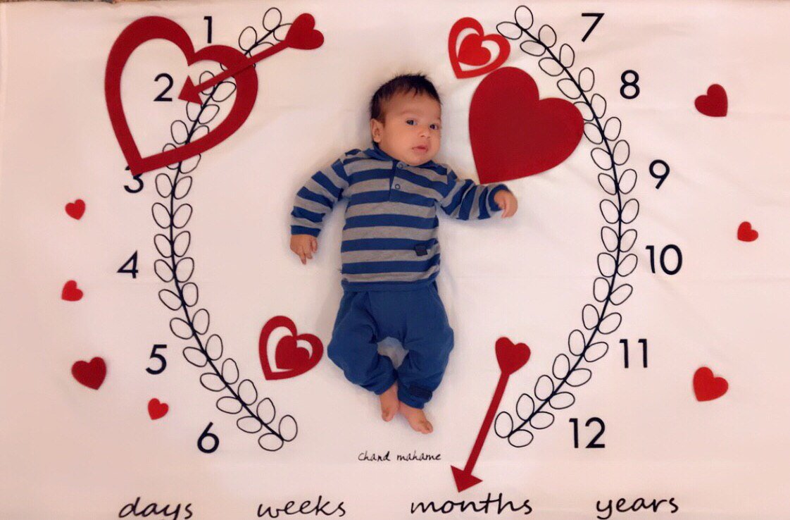 پارچه ماه شمار طرح شاخه زیتون هیراد پورعسگری