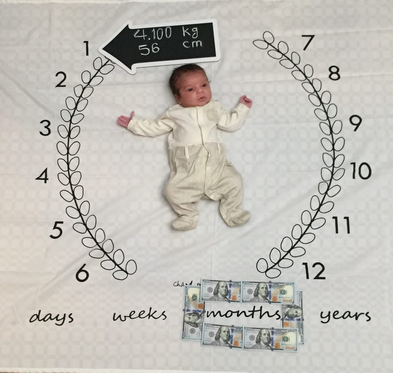 پارچه ماه شمار طرح شاخه زیتون هیراد پورعسگری