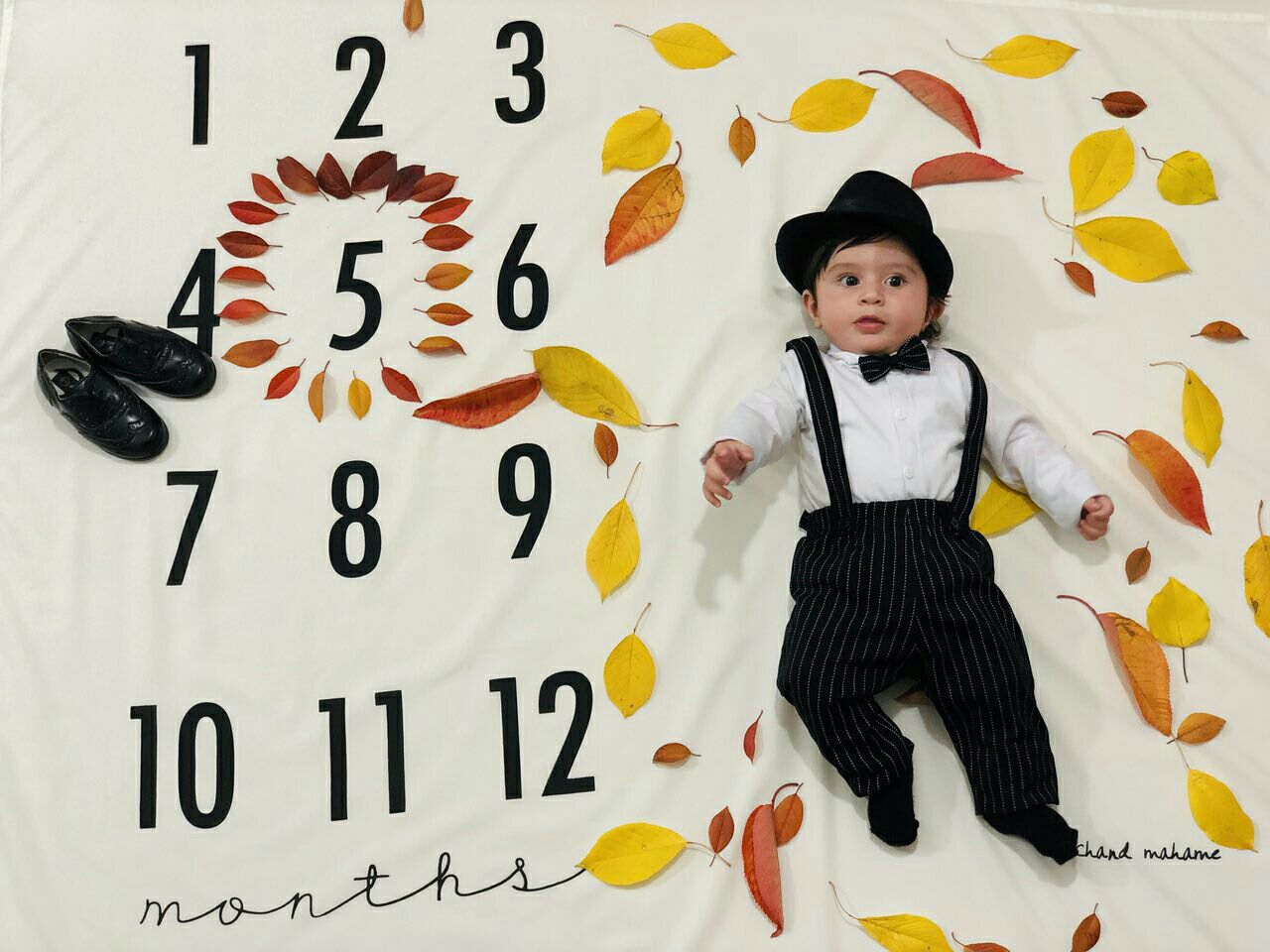 پنج ماهگی نوزاد هیراد پورعسگری