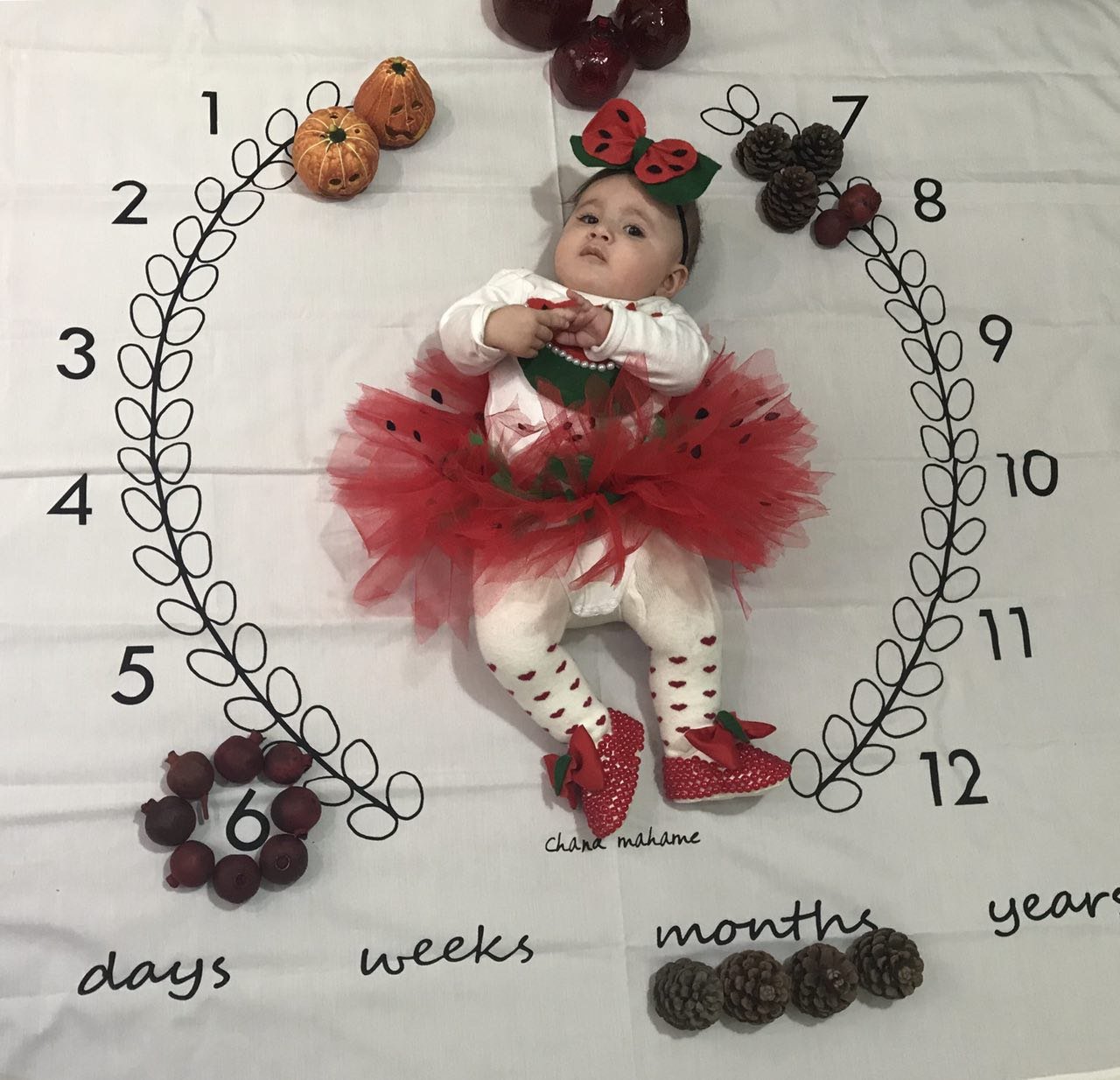 پارچه ماه شمار طرح شاخه زیتون هیراد پورعسگری