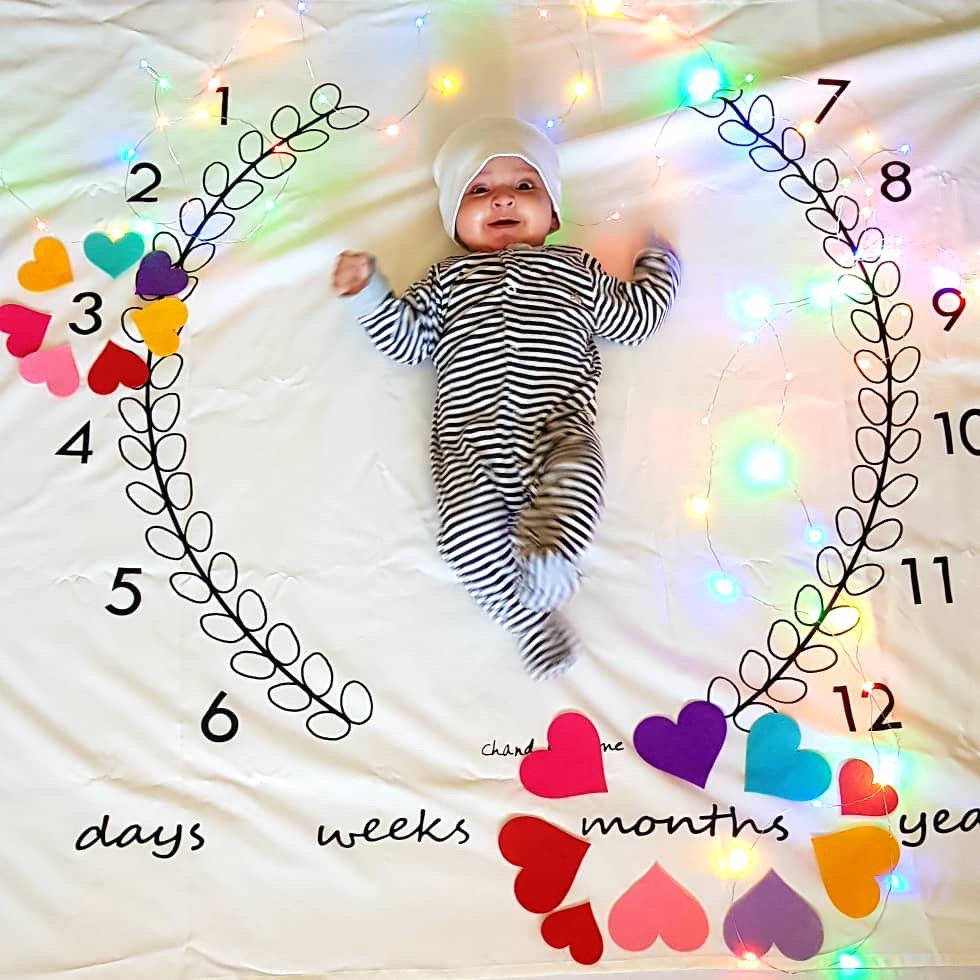 تم و تزیینات نمدی طرح فانتزی هیراد پورعسگری