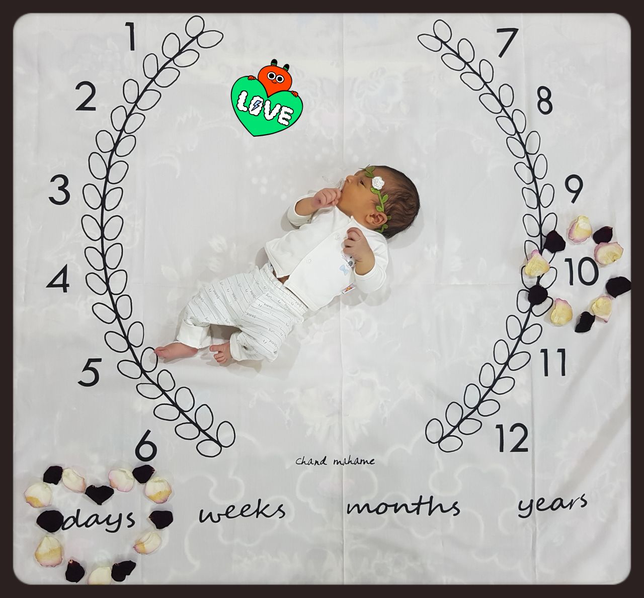 پارچه ماه شمار طرح شاخه زیتون هیراد پورعسگری