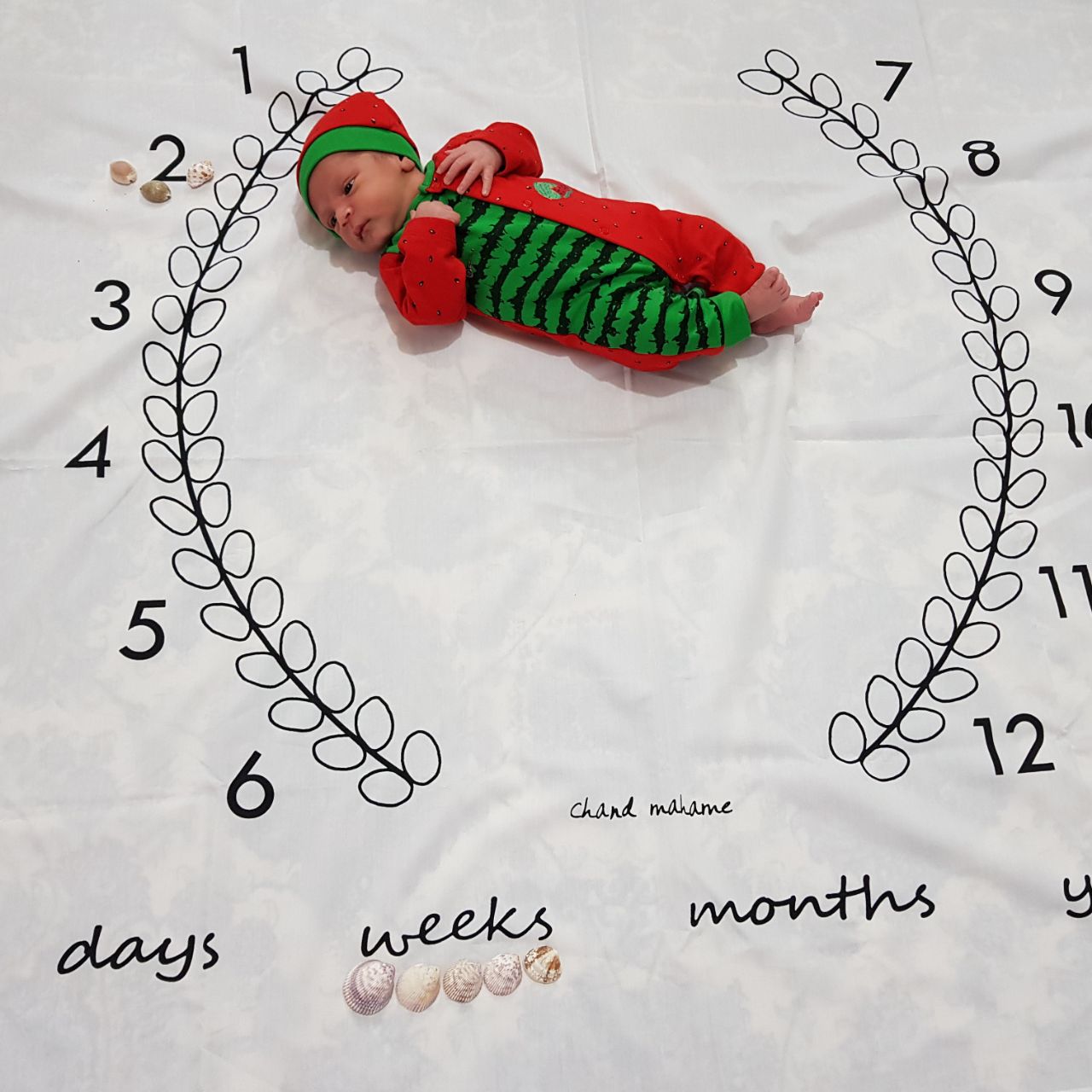 دو ماهگی نوزاد هیراد پورعسگری