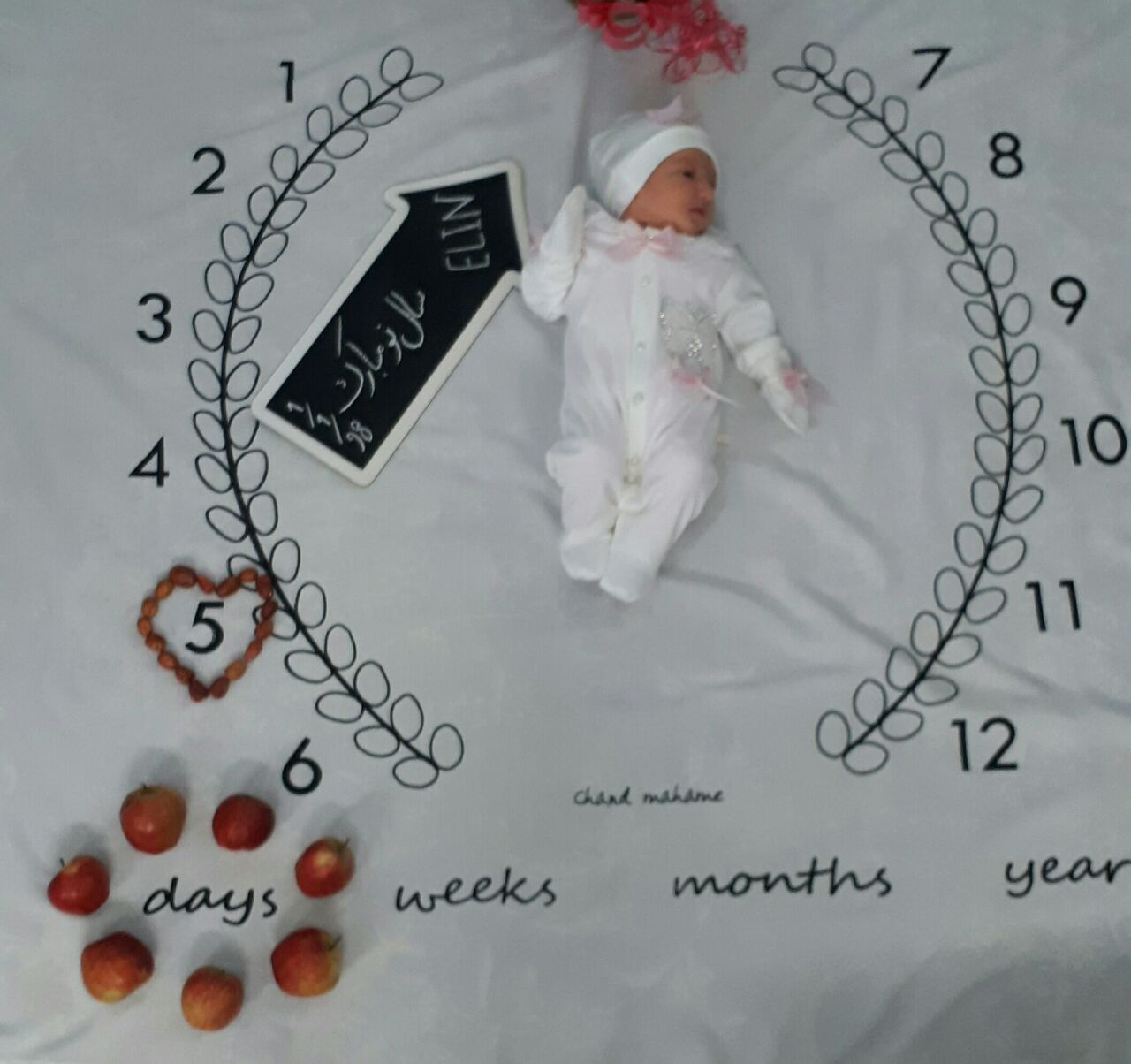 پنج ماهگی نوزاد هیراد پورعسگری