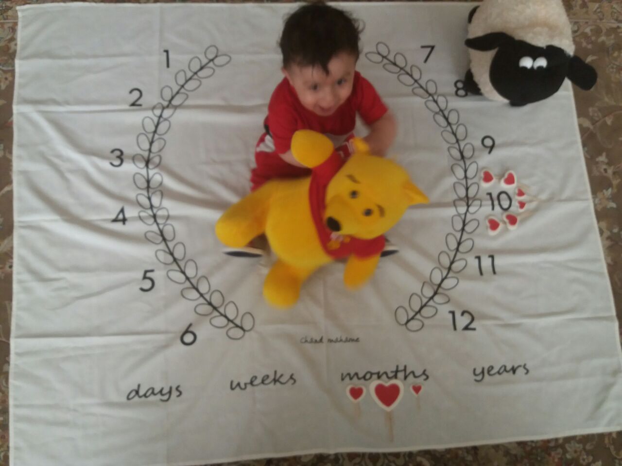 ده ماهگی نوزاد هیراد پورعسگری