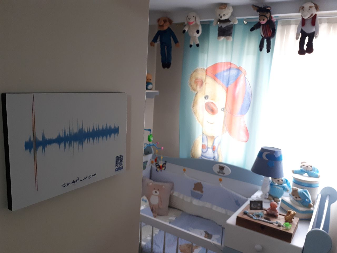 قاب صدا هیراد پورعسگری