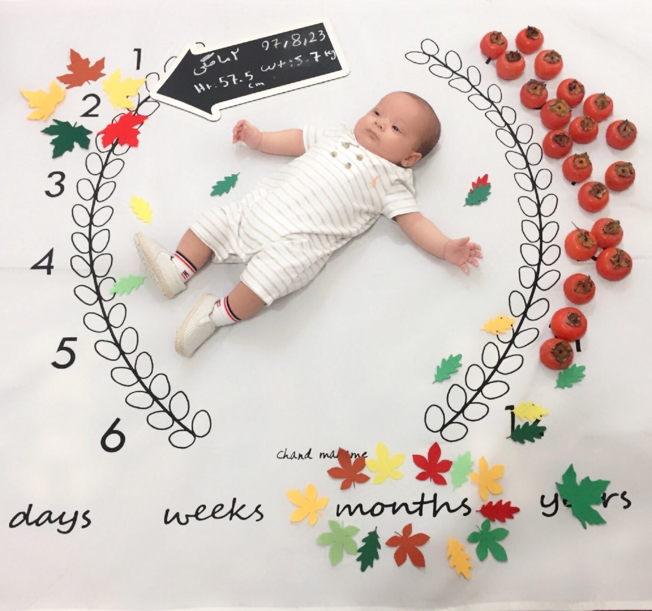 پارچه ماه شمار طرح شاخه زیتون هیراد پورعسگری