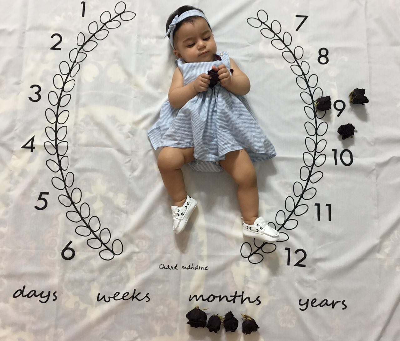 عکس نوزاد دختر هیراد پورعسگری