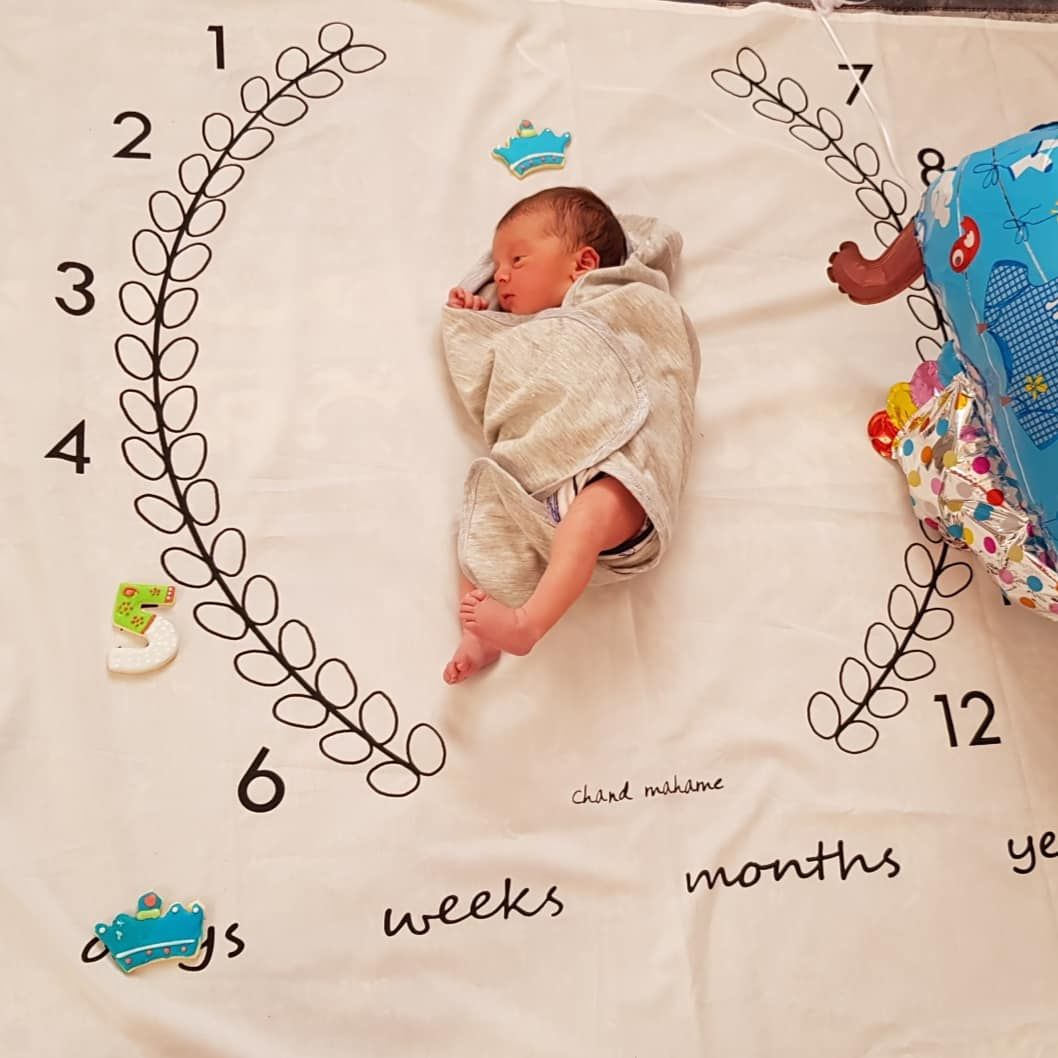 پارچه ماه شمار طرح شاخه زیتون هیراد پورعسگری