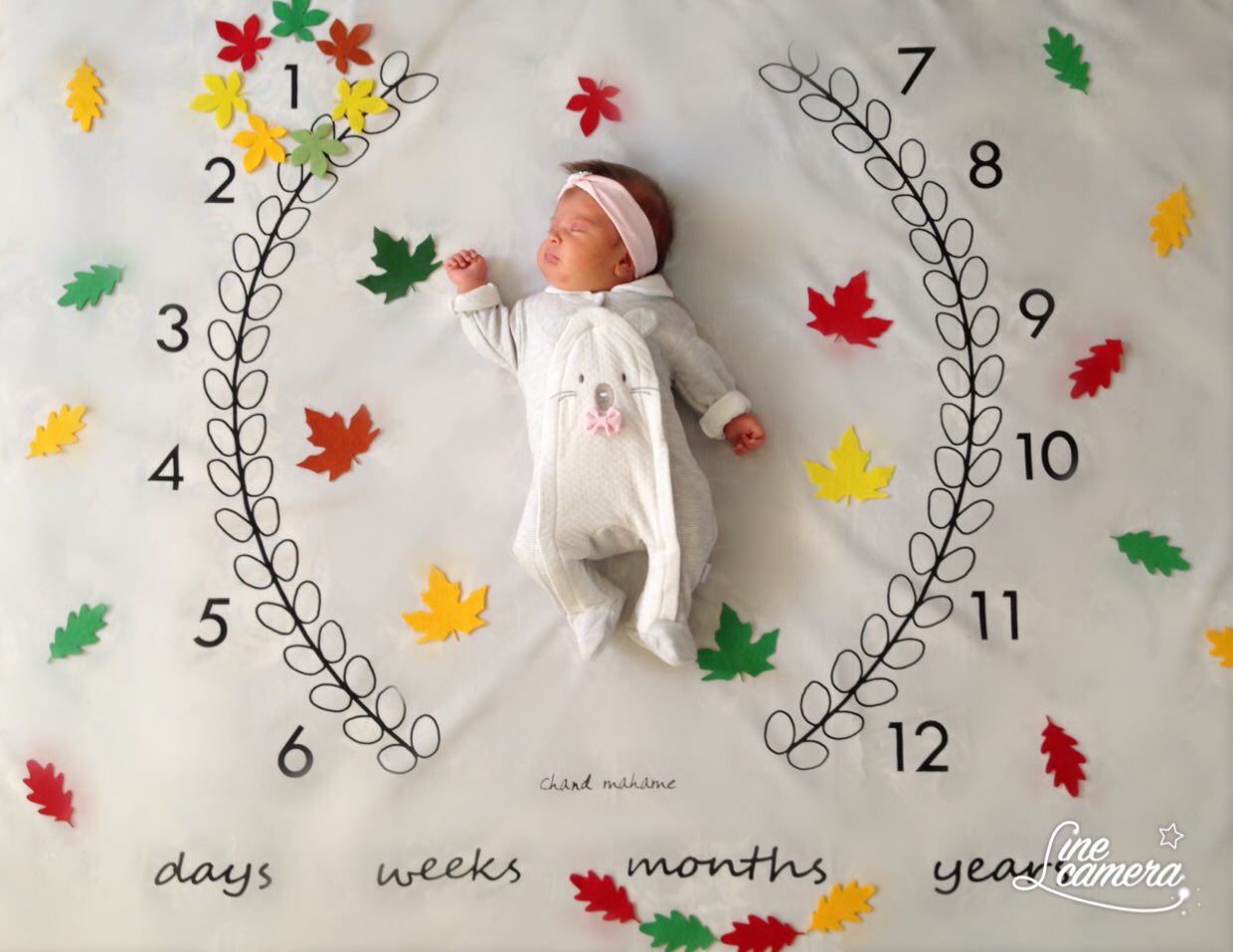 تم-و-تزیینات-نمدی-طرح-گل-و-برگ-1178