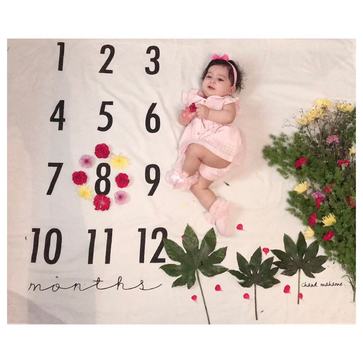 عکس نوزاد دختر هیراد پورعسگری