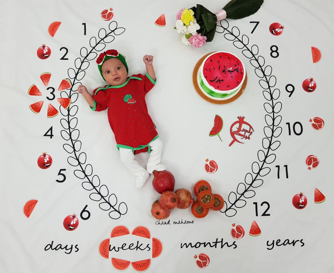 پارچه ماه شمار طرح شاخه زیتون هیراد پورعسگری