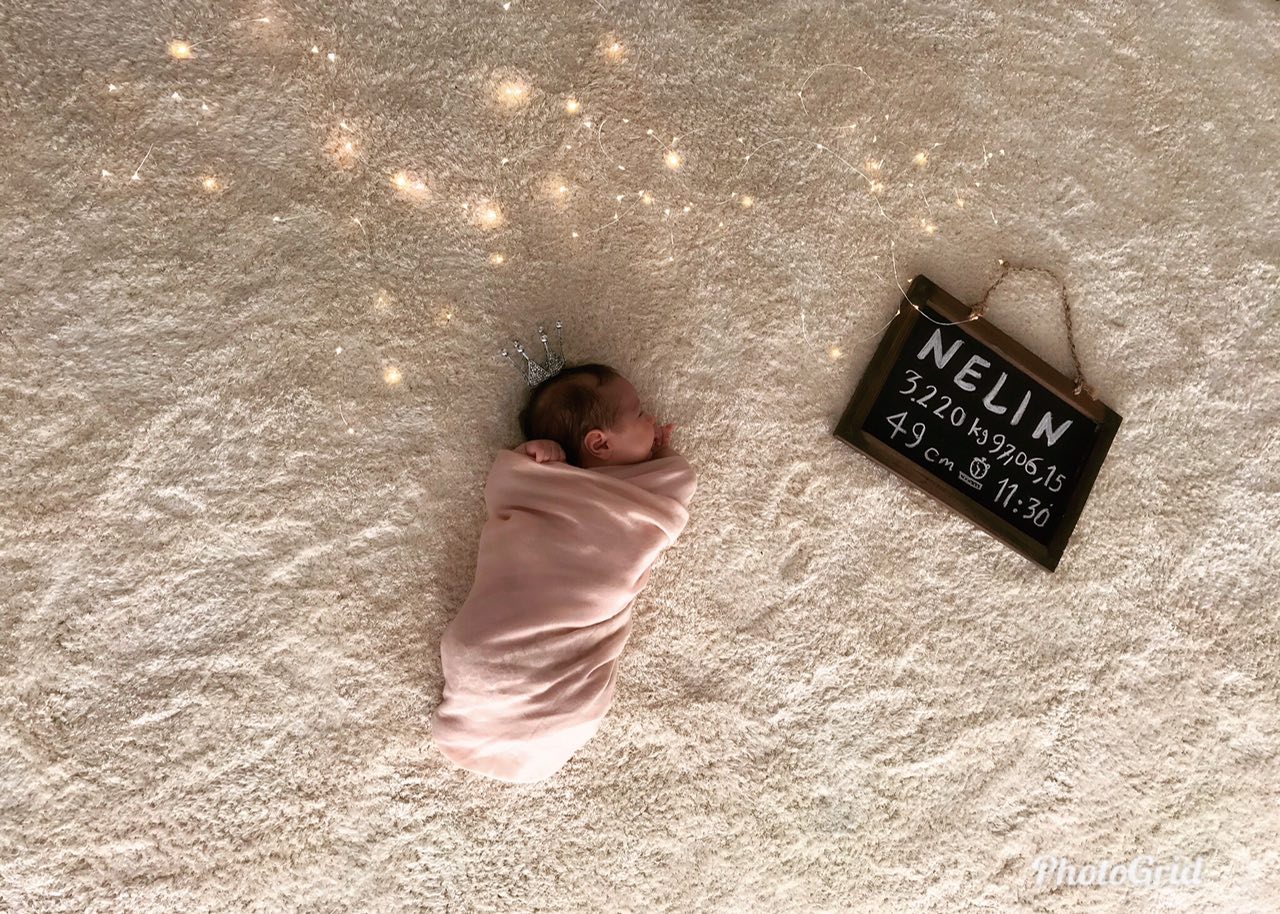 ریسه تزیینی هیراد پورعسگری