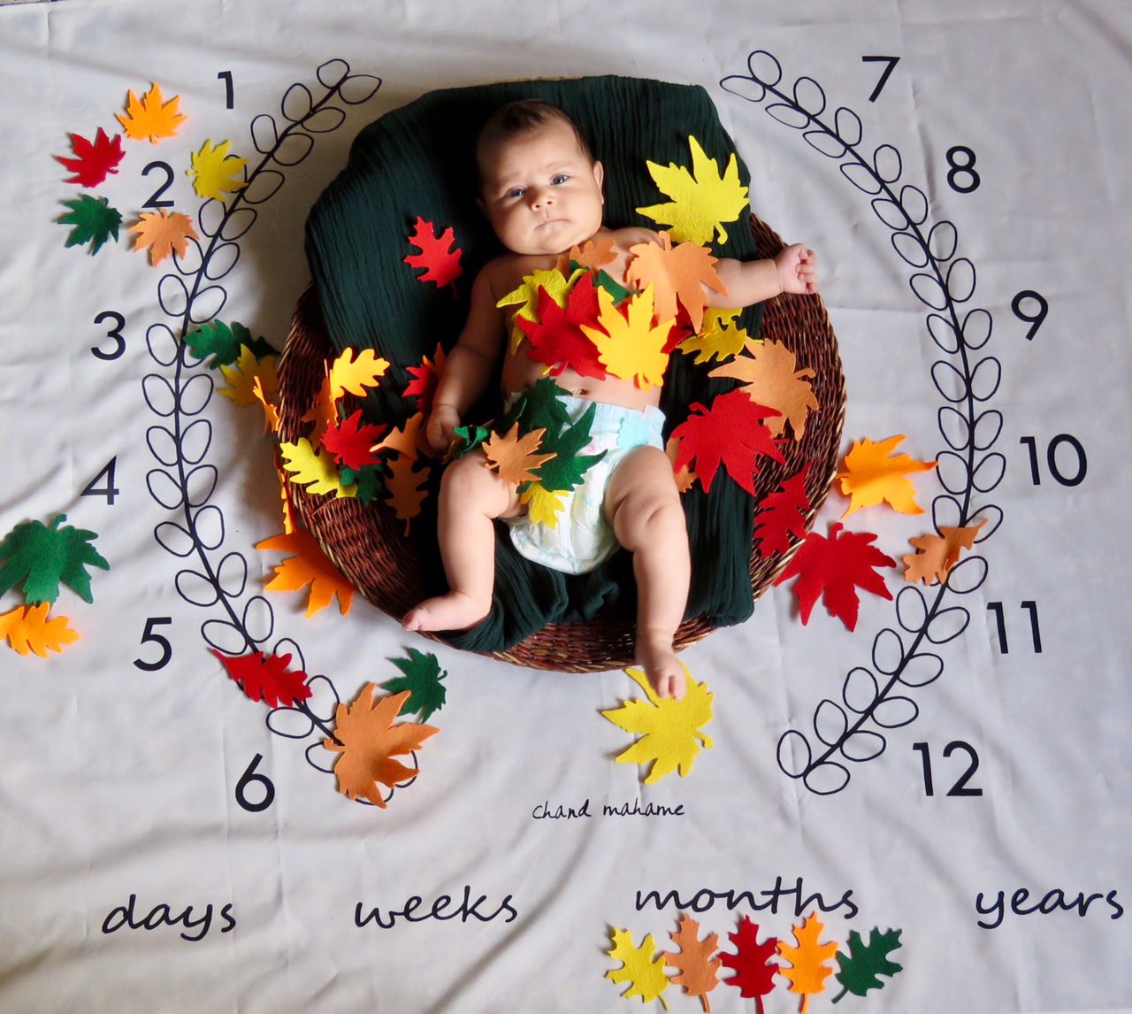 تم-و-تزیینات-نمدی-طرح-گل-و-برگ-1402