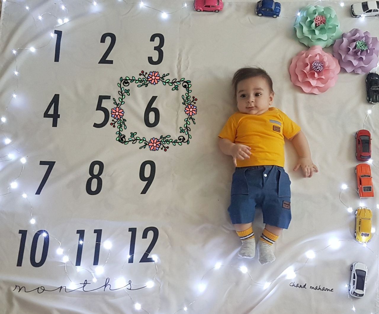 ریسه تزیینی هیراد پورعسگری