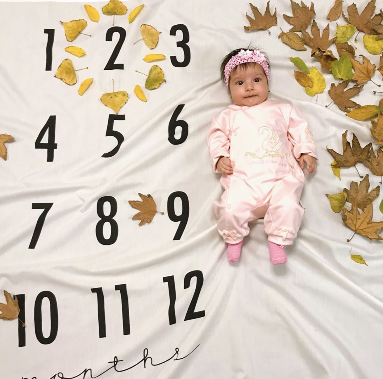 تم عکس پاییزی نوزاد هیراد پورعسگری