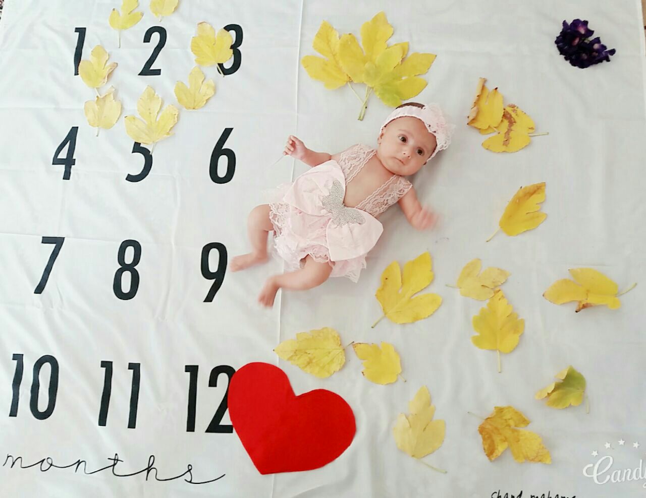 عکس نوزاد دختر هیراد پورعسگری