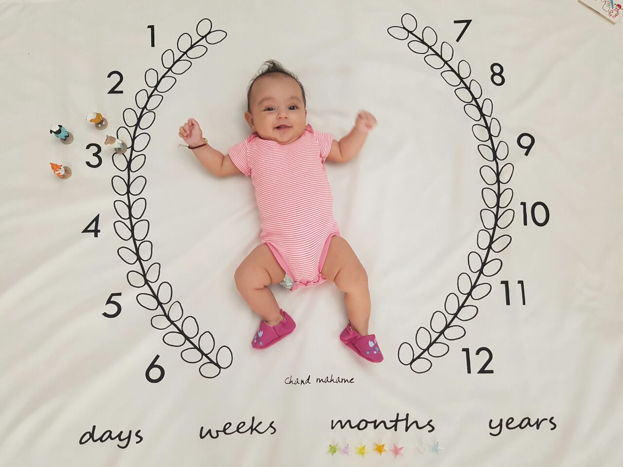 پارچه-های-عکاسی-1623