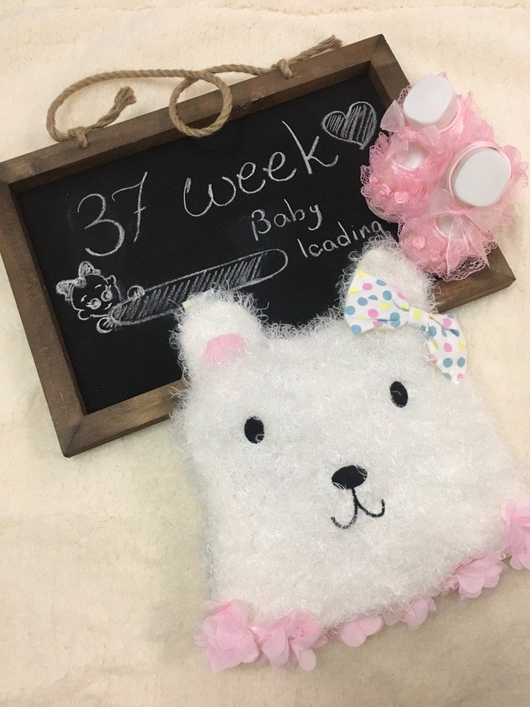 بارداری هیراد پورعسگری