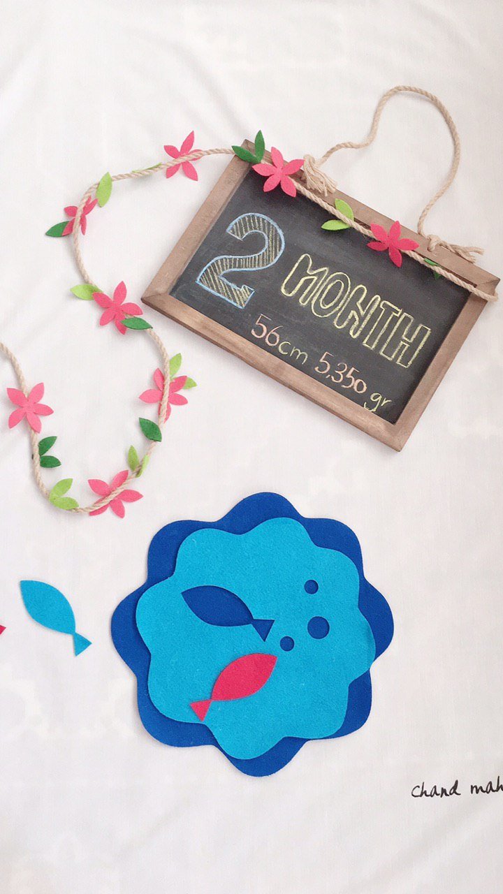 تم عکاسی بهاری هیراد پورعسگری