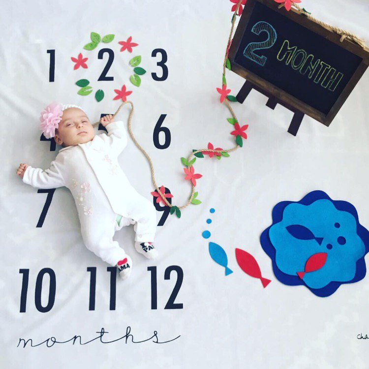 تم-و-تزیینات-بهار-2497