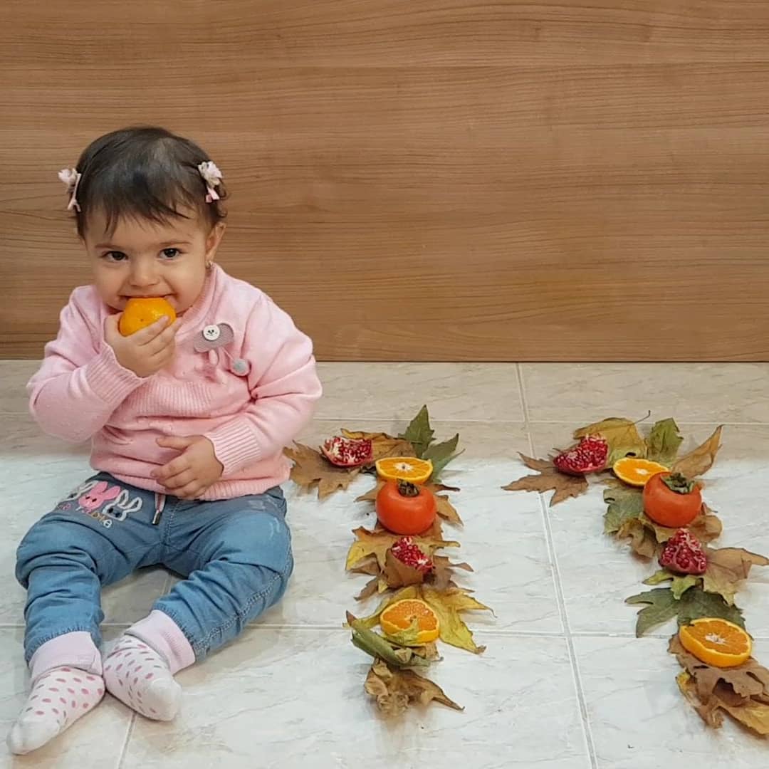 یازده ماهگی نوزاد آینازالوندی