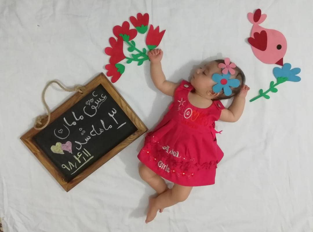 تم-عکاسی-گل-و-بلبل-5050