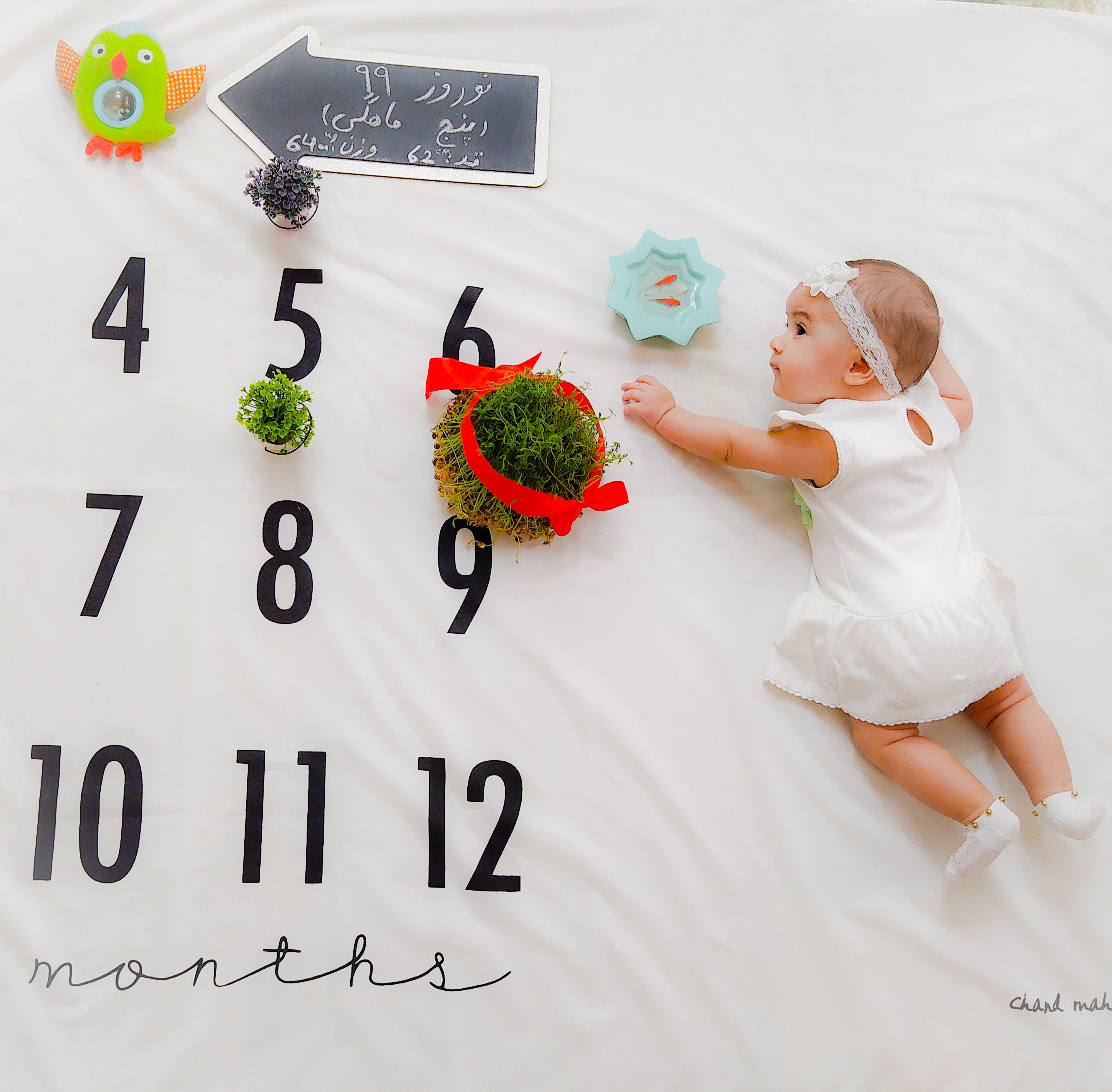 عید نوروز مه یاس فلاح