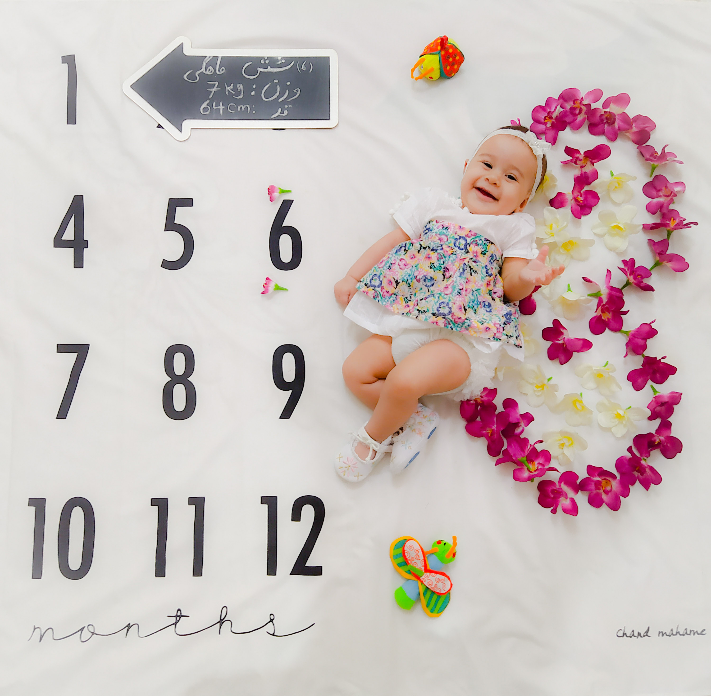 شش ماهگی نوزاد مه یاس فلاح