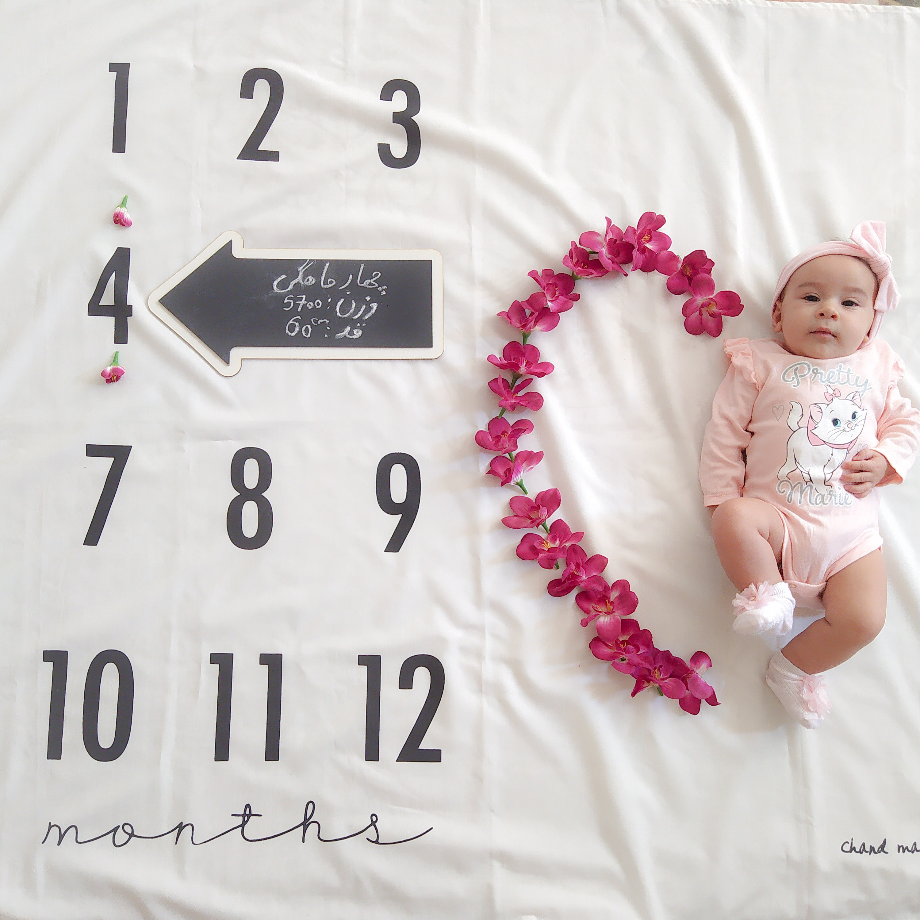 تخته-سیاه-ها-11089