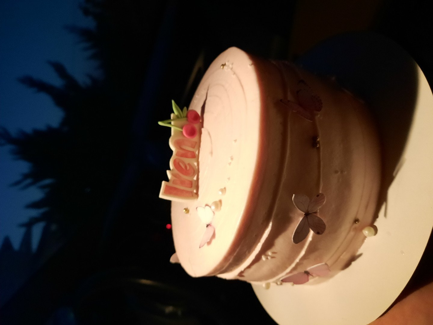 بیست و چهار ماهگی کودک ایرن نیکخو