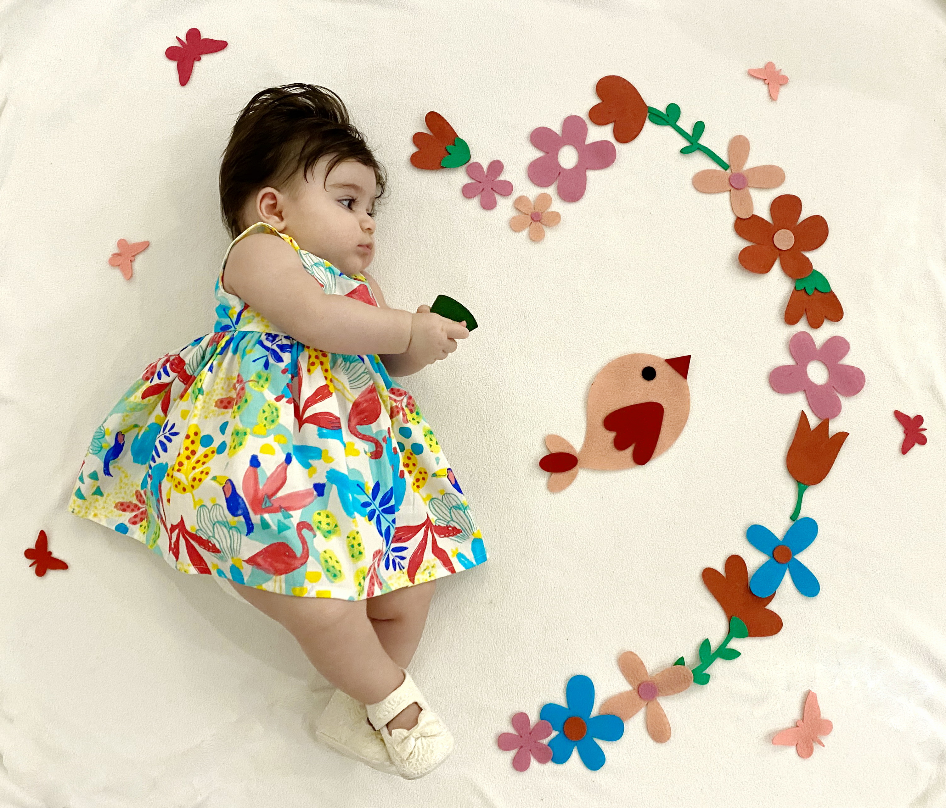 تم-عکاسی-گل-و-بلبل-16562