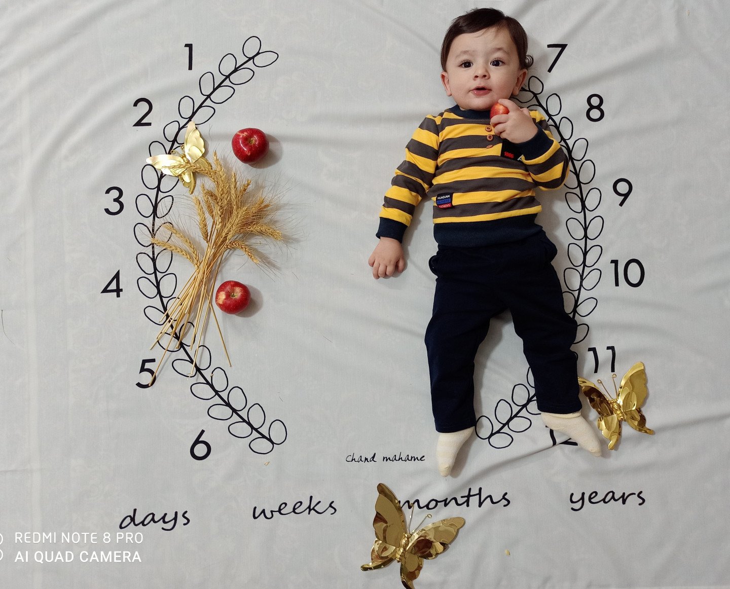 عکس سیزده بدر محمدهادی فردی